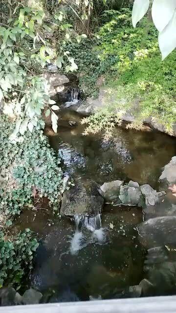 小矮怪挖金矿