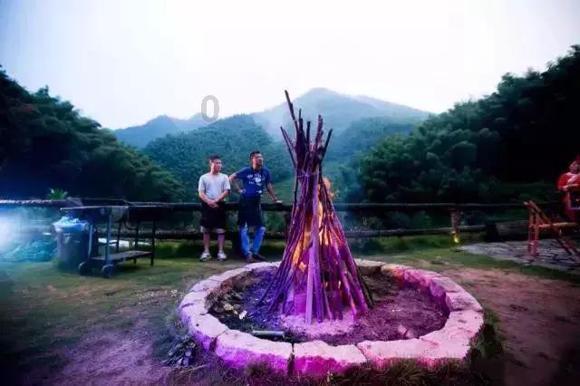 青海藏文化博物院：卡垫“龙元素”妙趣横生