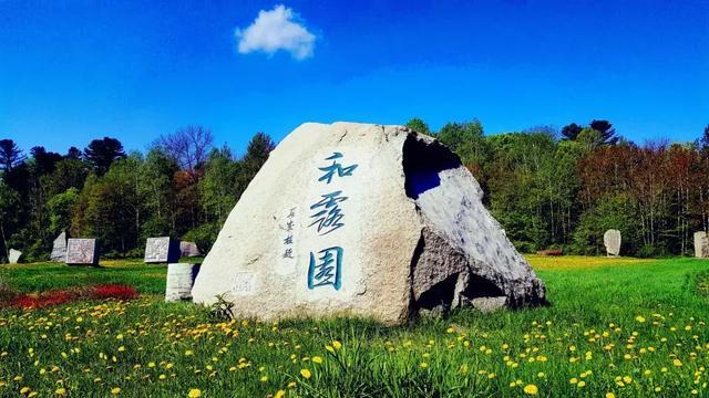 连线光球