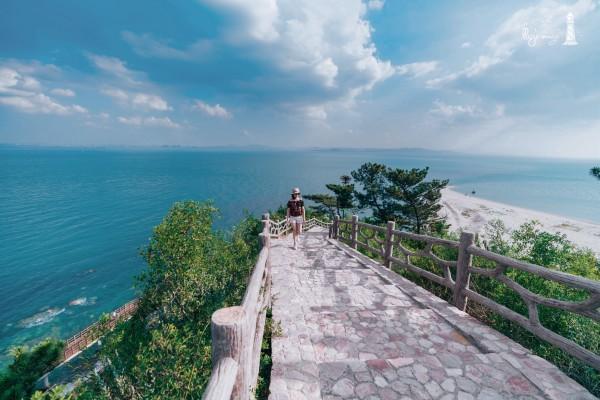 天津援青搭建新消费场景 河南县优牧产品推介专场亮相年货节掀人气