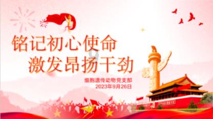 圣战英雄