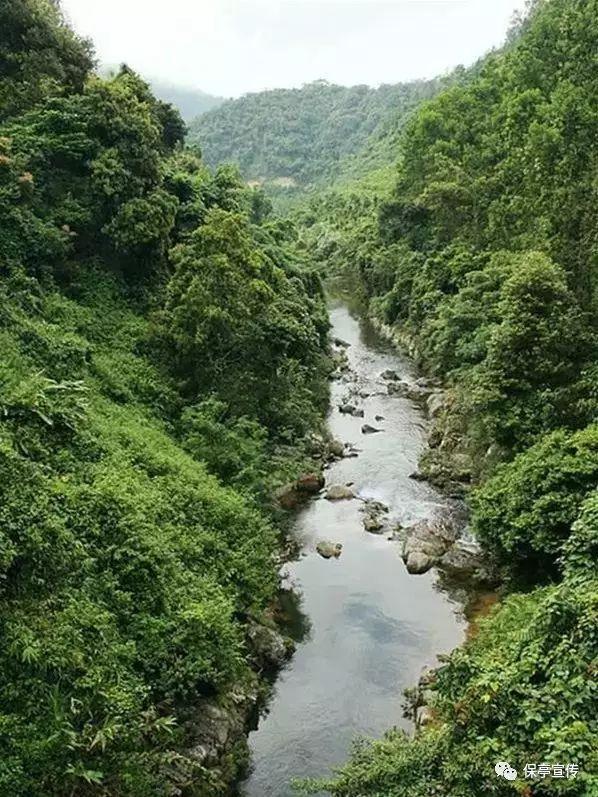 重庆多个分布式光伏项目投建 助推＂双碳＂目标实现